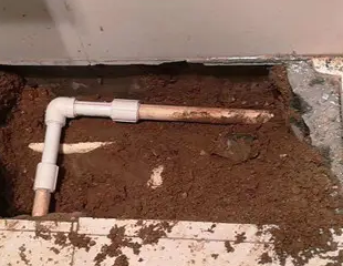 武陵源测漏水哪家好