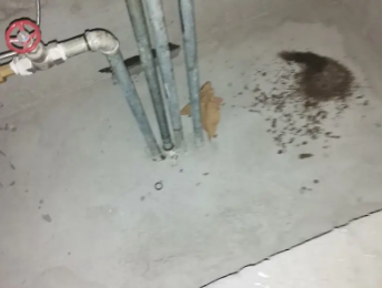 武陵源卫生间测漏水价格明细