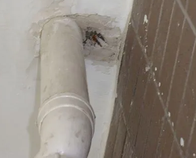 武陵源漏水检测哪家好